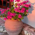 Casa Nobile * Lavonikes