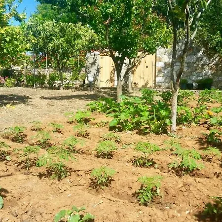 Casa Nobile فيلة